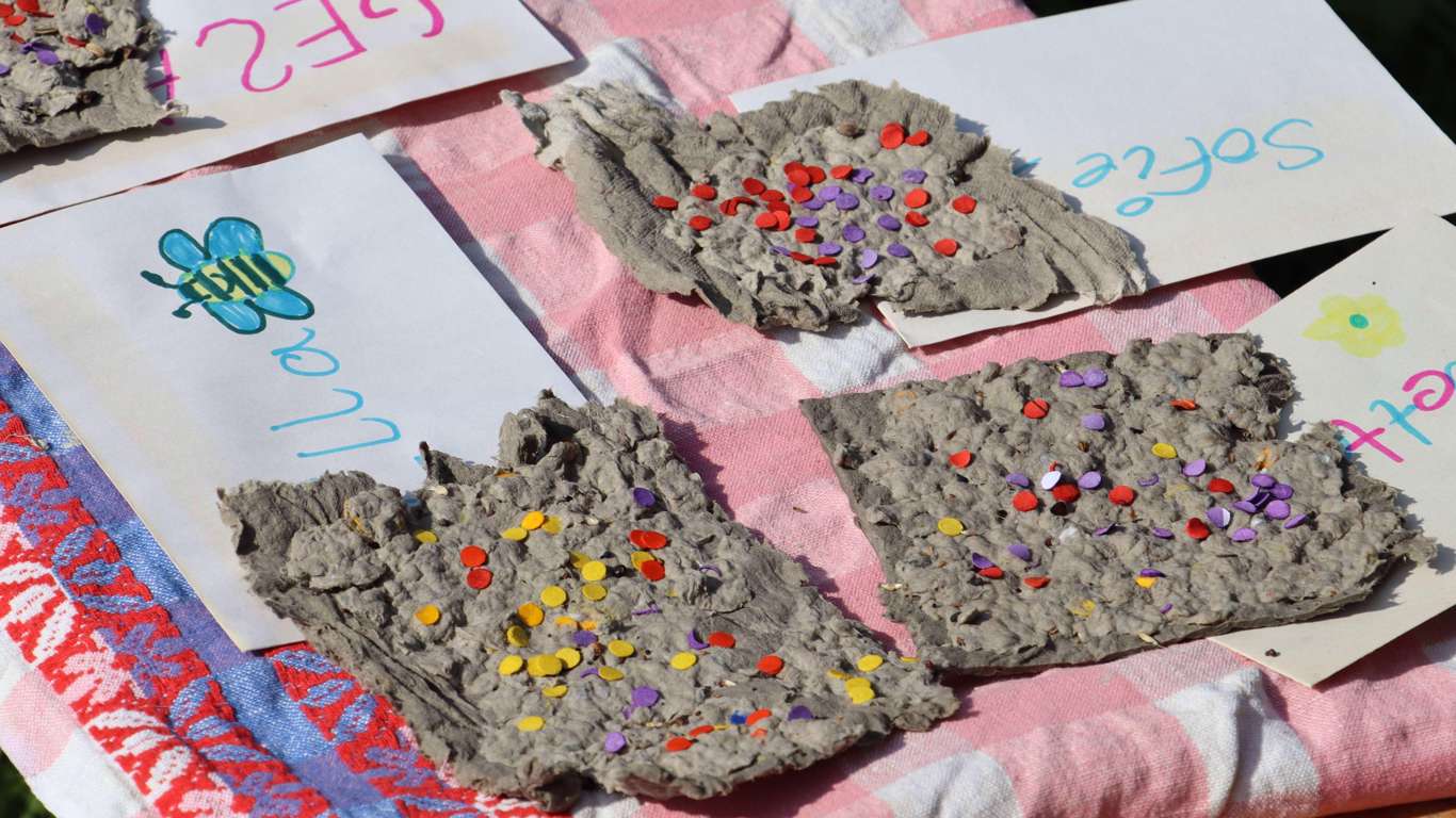 Saatpapier beim Trocken