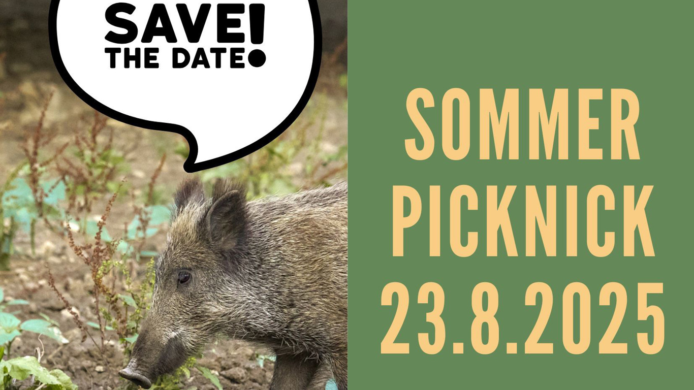 Sommerpicknick 2025 – Sommerausklang auf der Rabenwiese im Heissiwald!