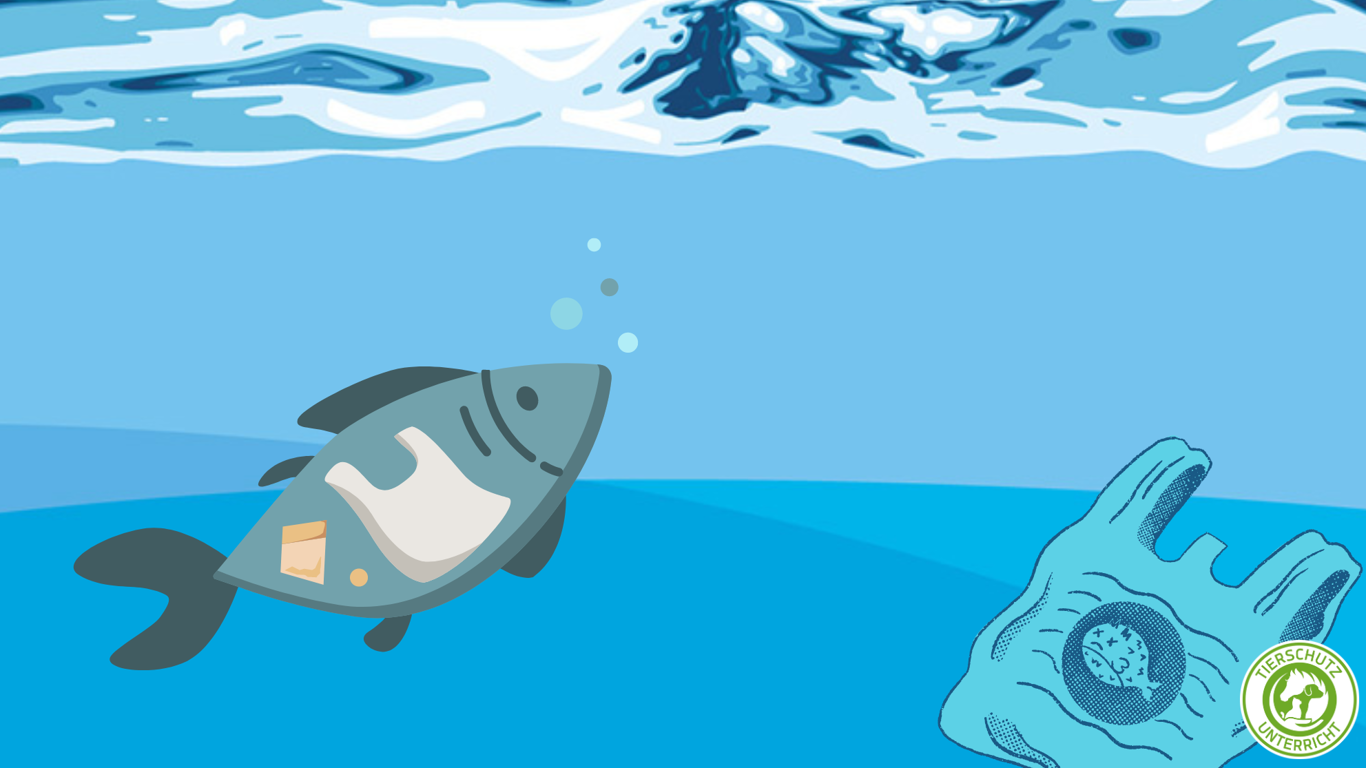 Müll und Meer