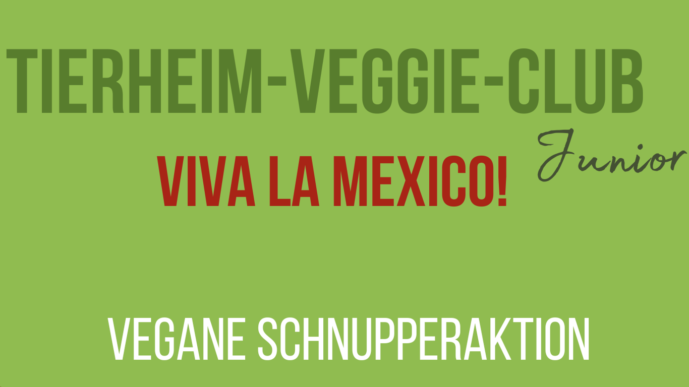 Tierheim-Veggie-Club