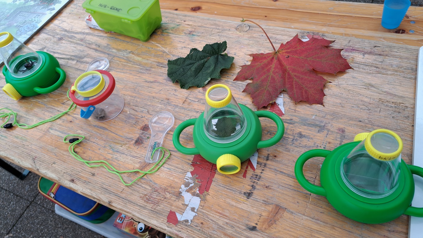 NATURE EXPLORERS 2.0 Karnaper Umweltheld*innen unterwegs