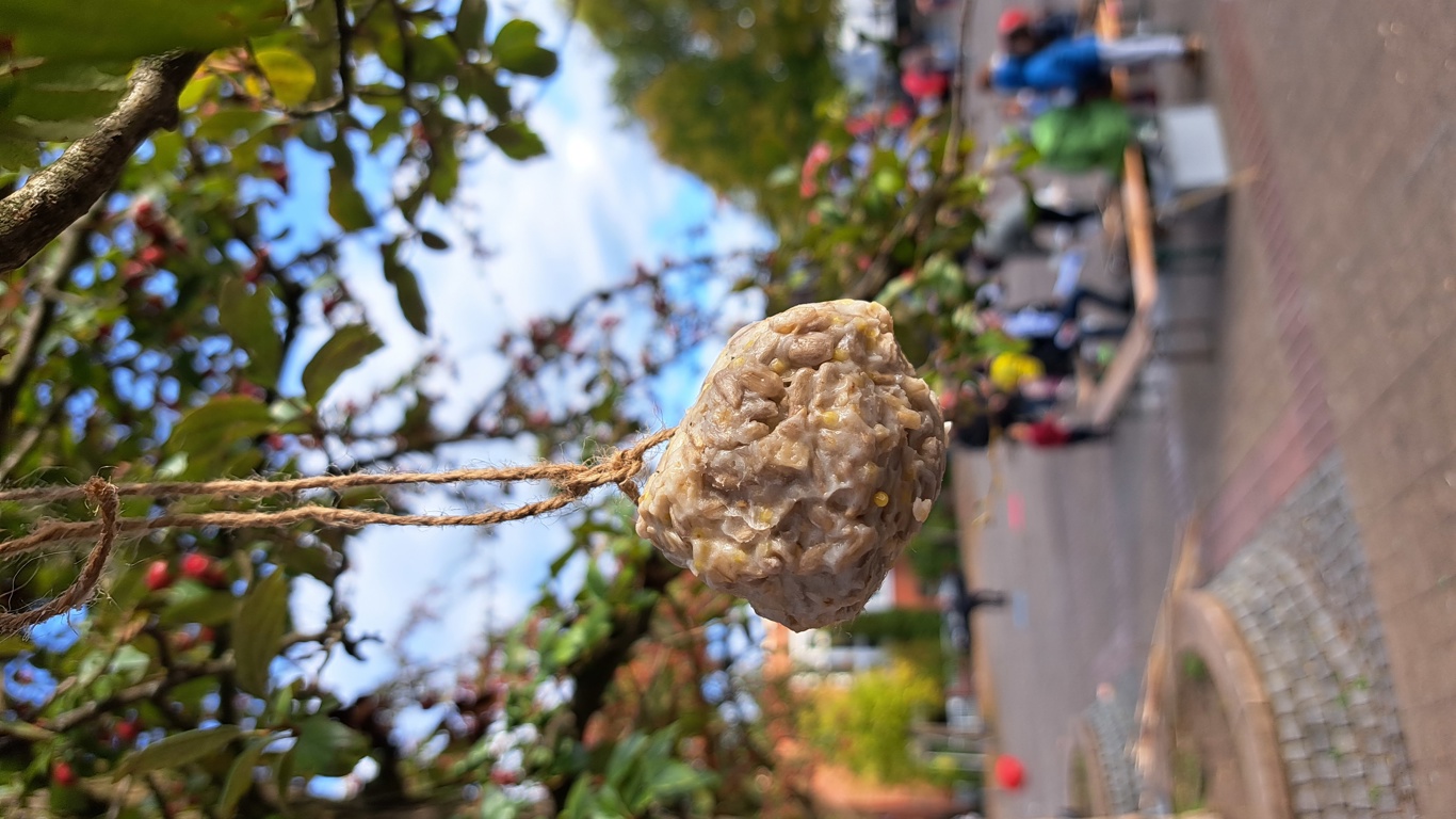 NATURE EXPLORERS 2.0 Karnaper Umweltheld*innen unterwegs